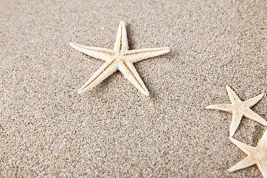 《黑神话》和《星战亡命之徒》都将发售 玩家选择谁？